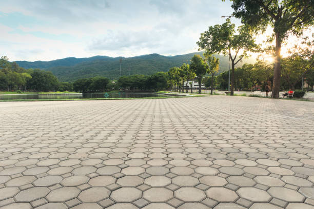 Best Permeable Paver Driveway  in Mount Olive, AL