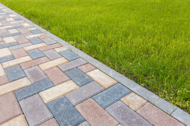 Best Driveway Pavers Near Me  in Mount Olive, AL